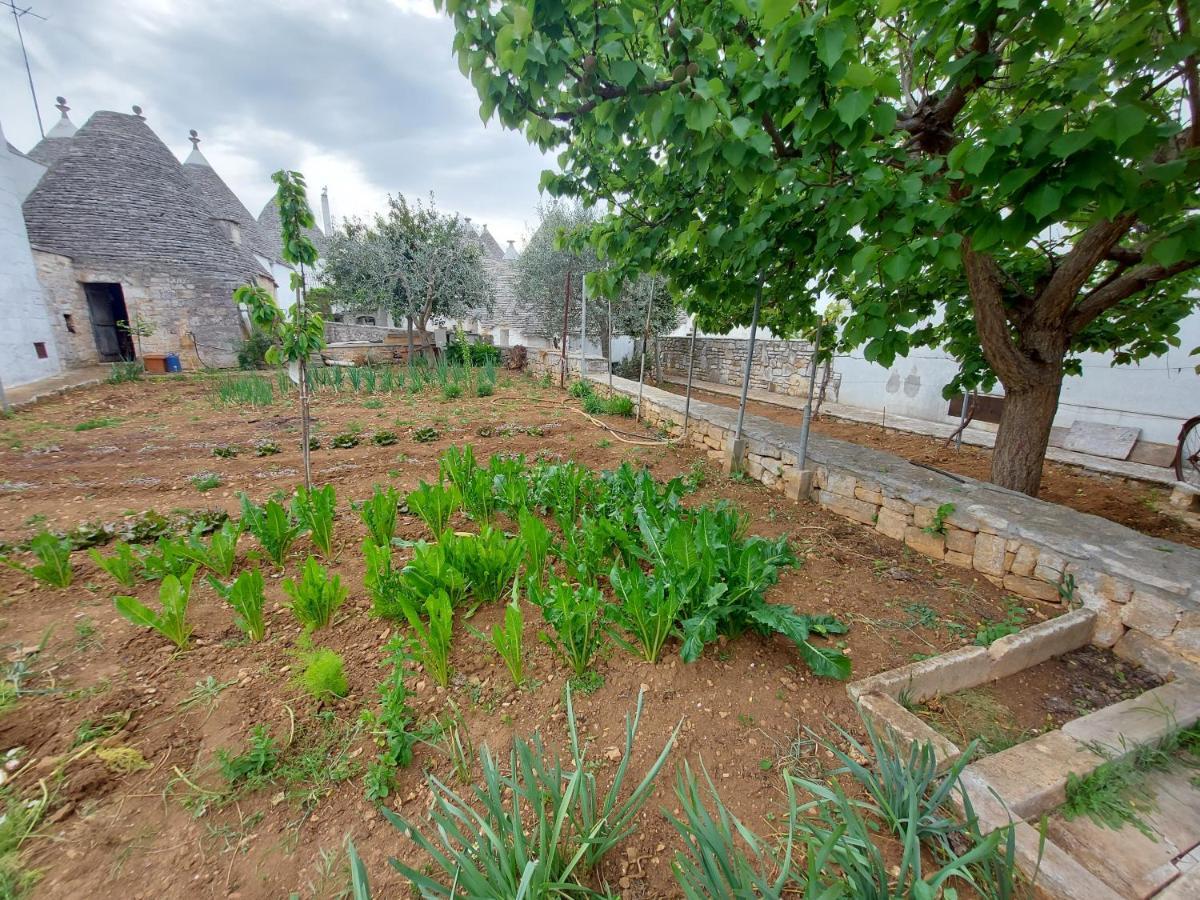 Il Trullo Di Giada E Mattia Villa Alberobello Kültér fotó