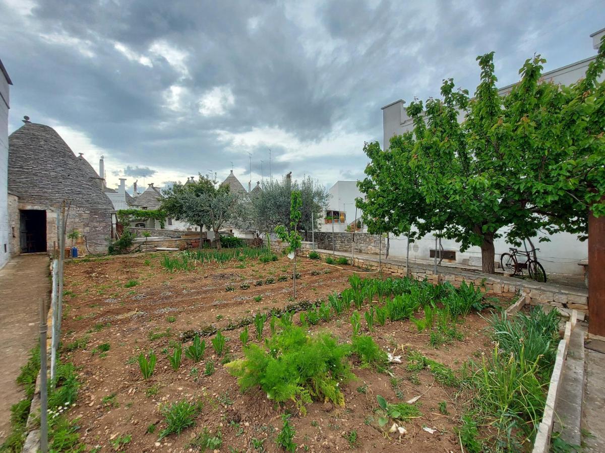 Il Trullo Di Giada E Mattia Villa Alberobello Kültér fotó