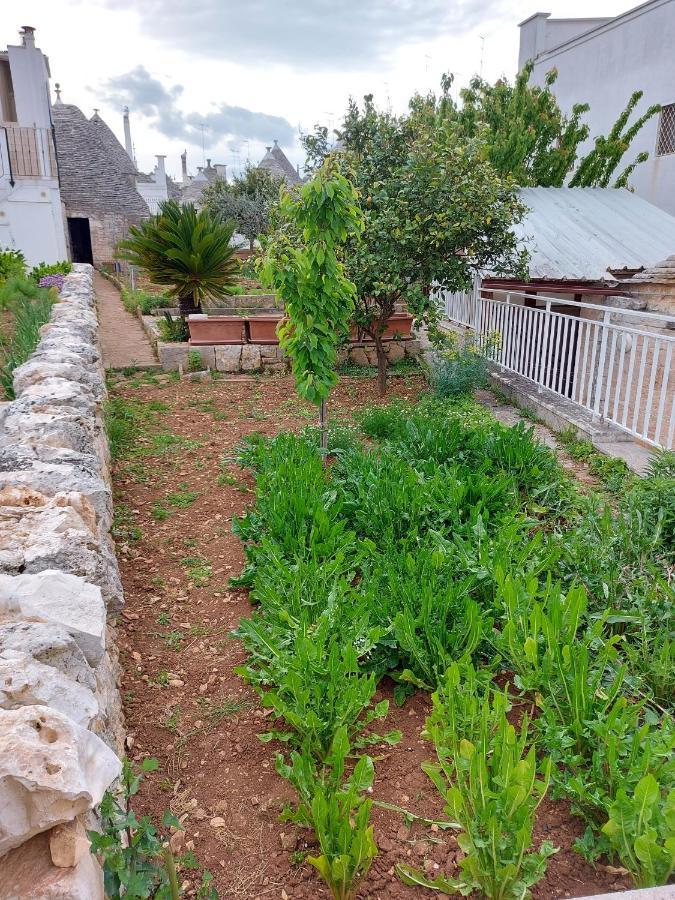 Il Trullo Di Giada E Mattia Villa Alberobello Kültér fotó
