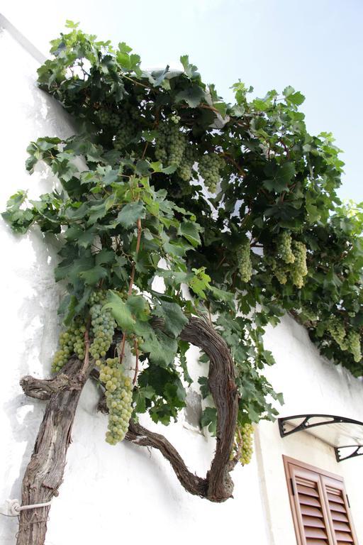 Il Trullo Di Giada E Mattia Villa Alberobello Kültér fotó